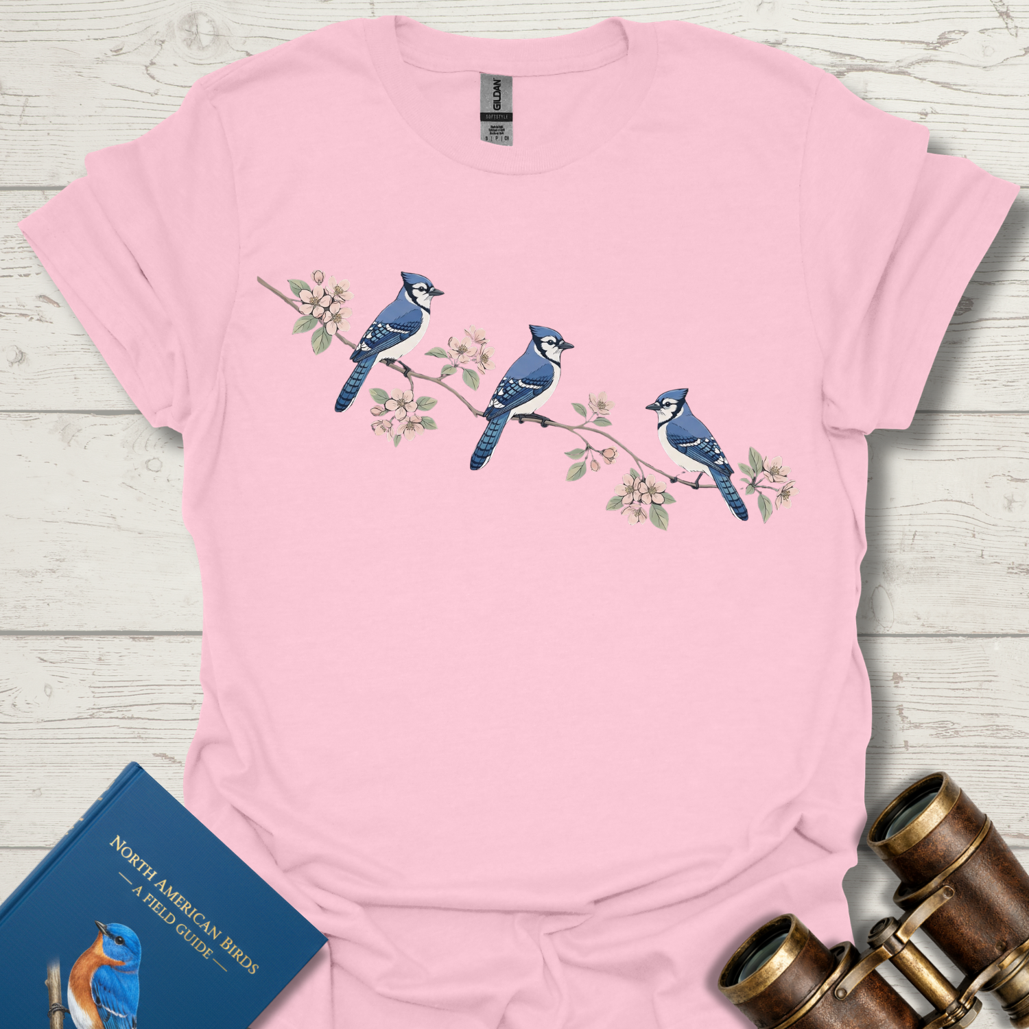 Blue Jay and Apple Blossom