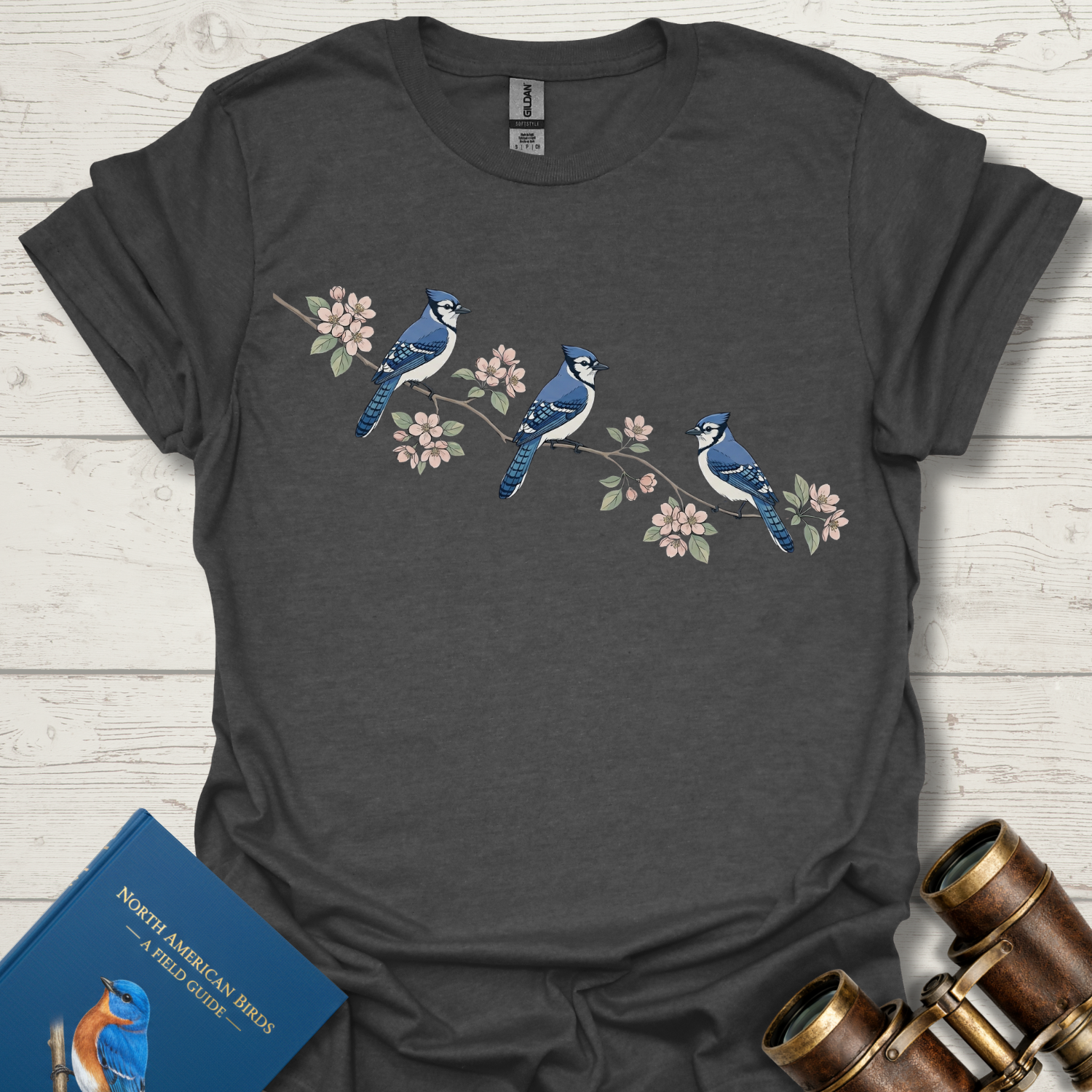 Blue Jay and Apple Blossom