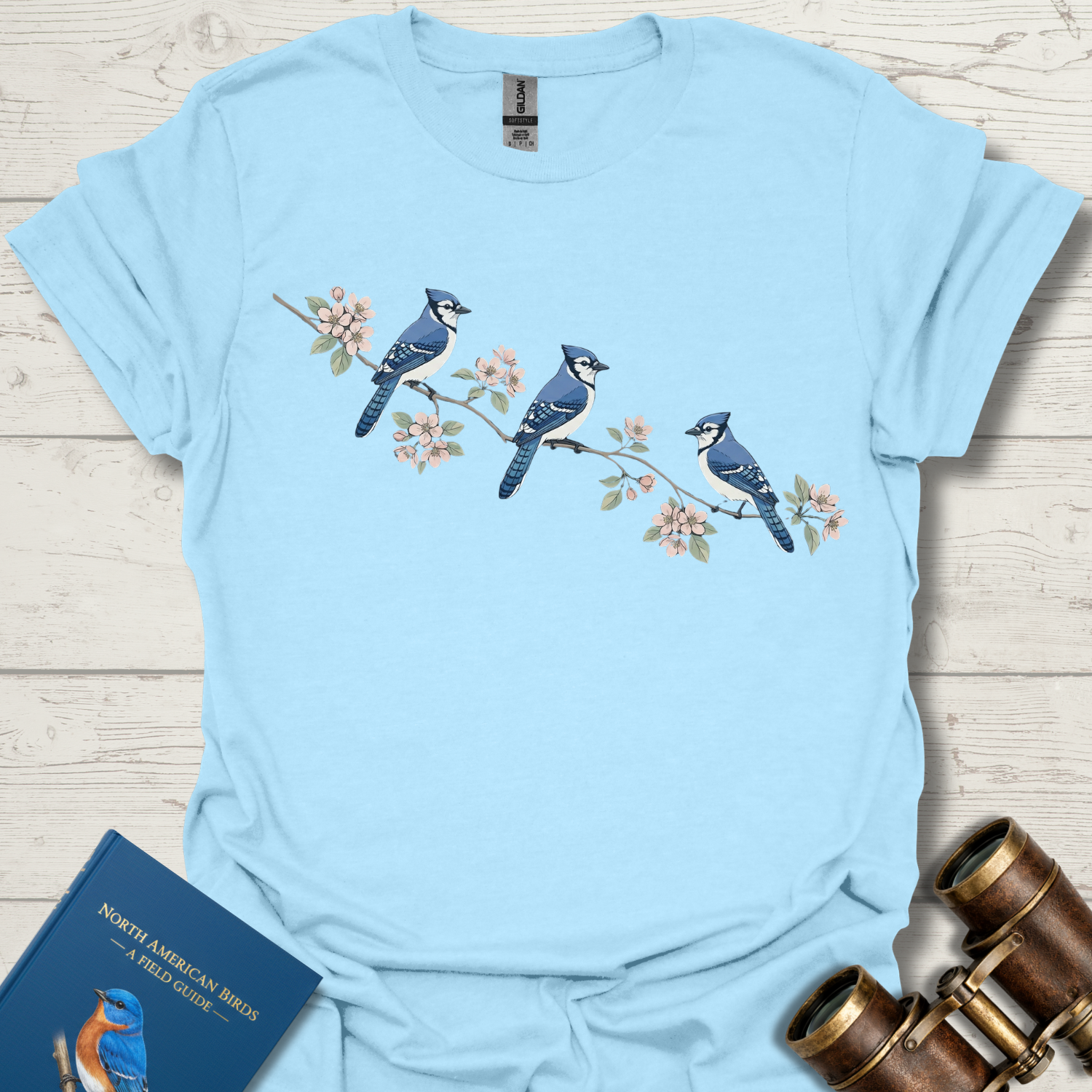 Blue Jay and Apple Blossom