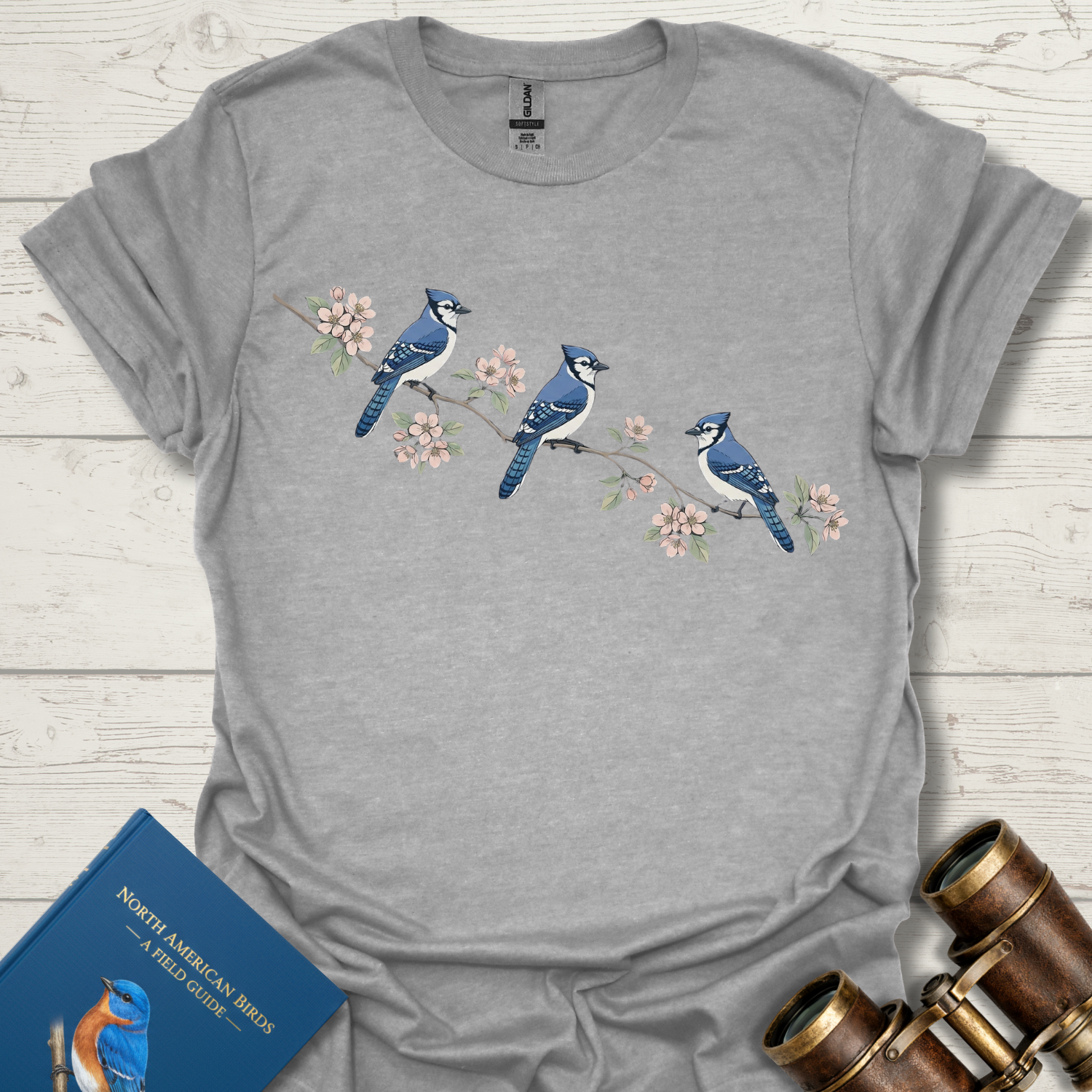 Blue Jay and Apple Blossom
